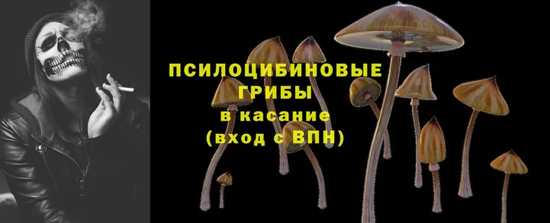 Галлюциногенные грибы MAGIC MUSHROOMS  цена наркотик  Видное 